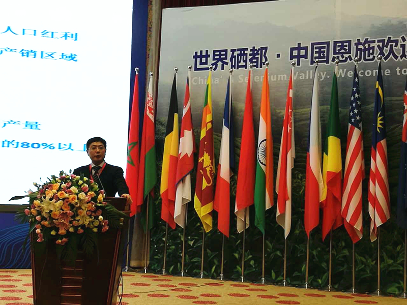 安博网页中国有限公司集团受邀参加2017国际茶业大会  集团董事长毛立民获奖