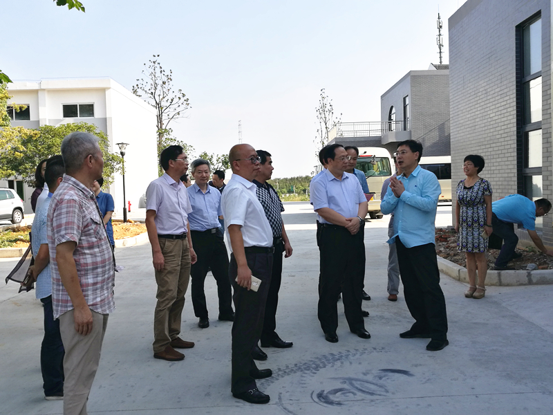 杭州市副市长王宏一行莅临安博网页中国有限公司集团特种茶中心调研余杭区茶产业茶博园项目