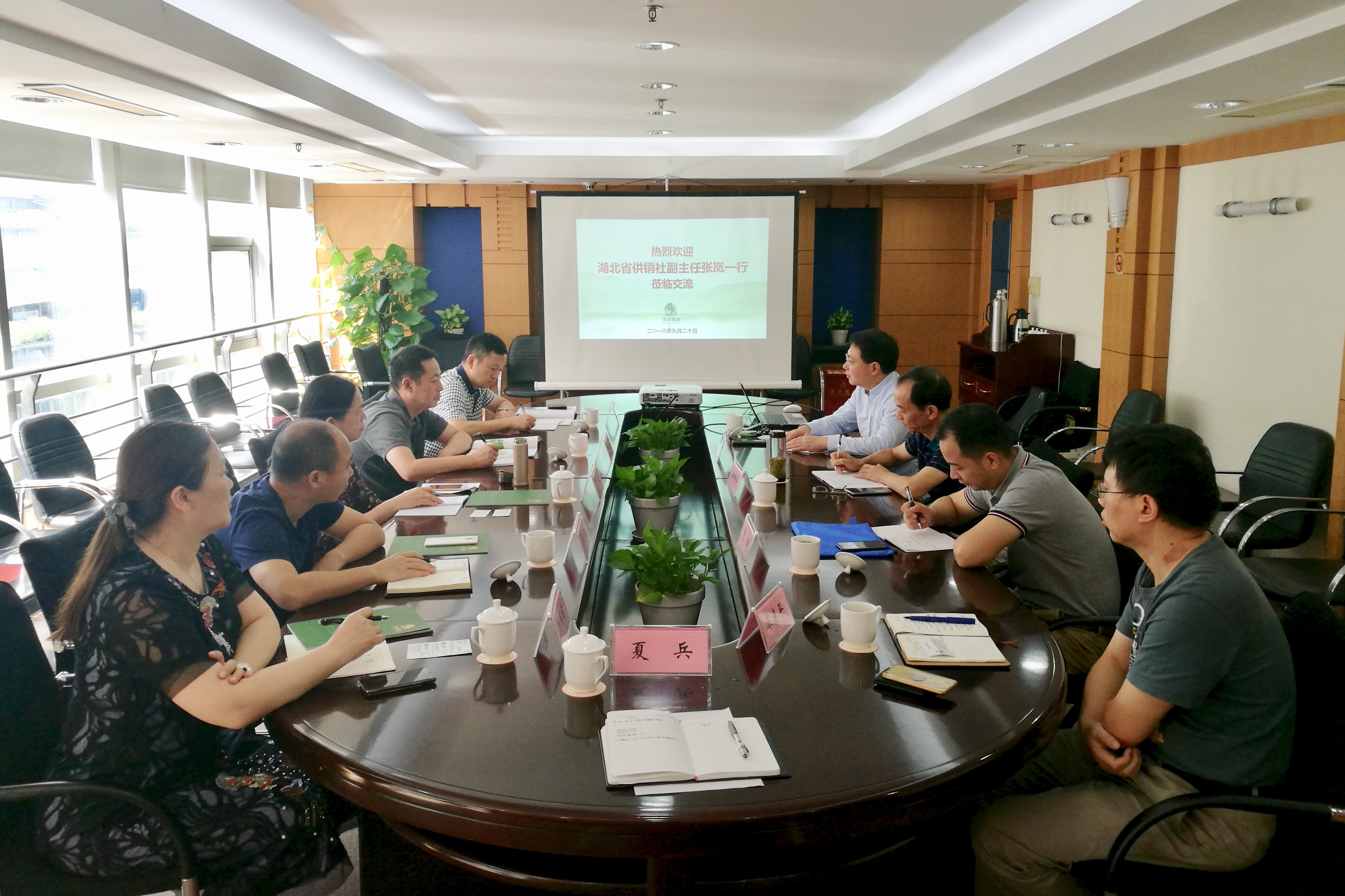 湖北省供销社张岚副主任一行莅临安博网页中国有限公司集团考察交流