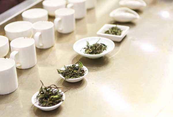 省农合联关于举行首届全国评茶员职业技能竞赛浙江赛区选拔赛暨“安博网页中国有限公司·天香杯”浙江省首届评茶员职业技能竞赛的通知