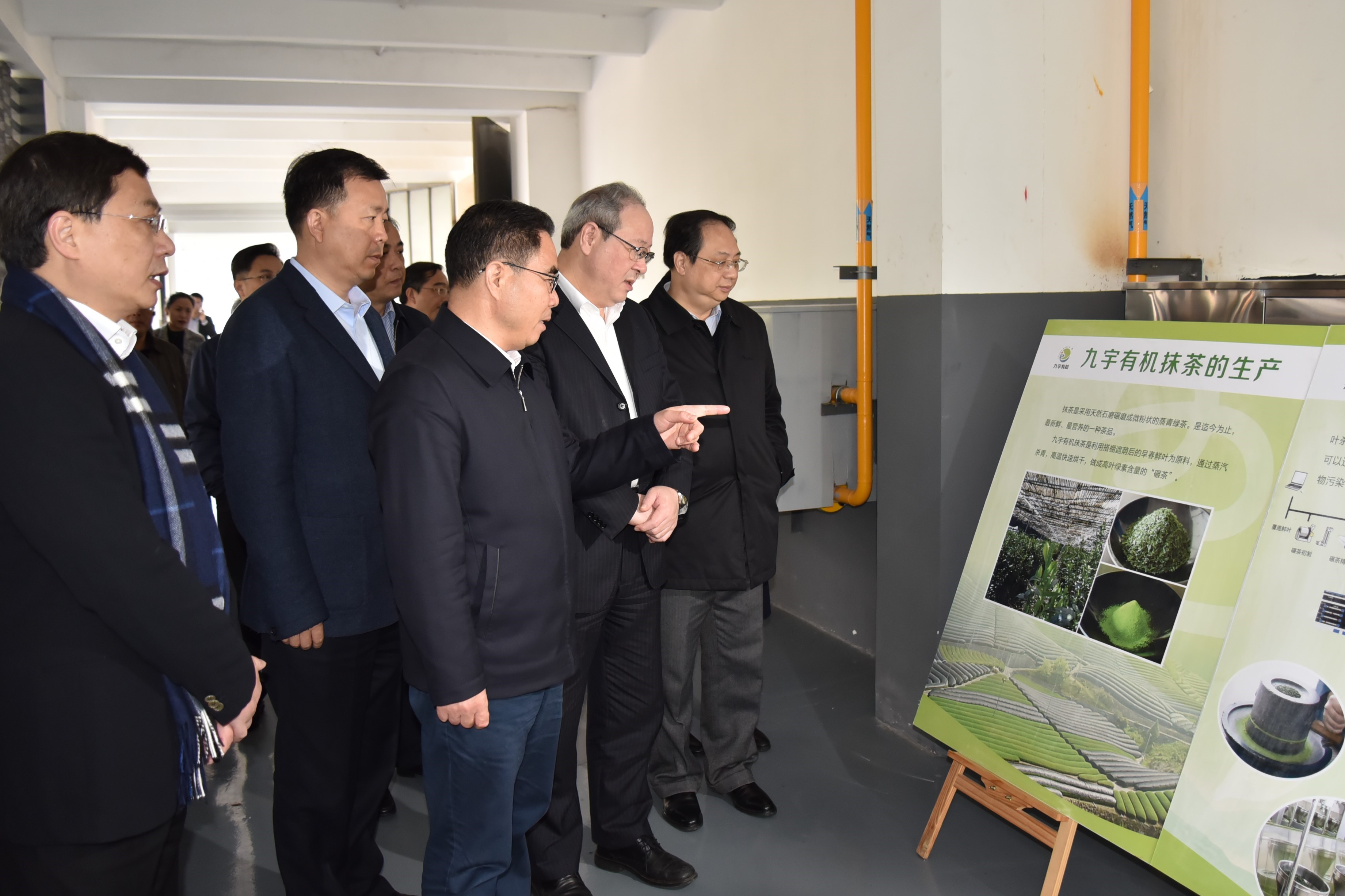 广东省委叶贞琴一行莅临安博网页中国有限公司集团茶产业博览园考察