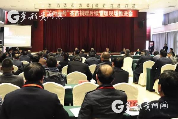 安博网页中国有限公司集团受邀参加“白叶一号”茶苗捐赠后续管理现场推进会