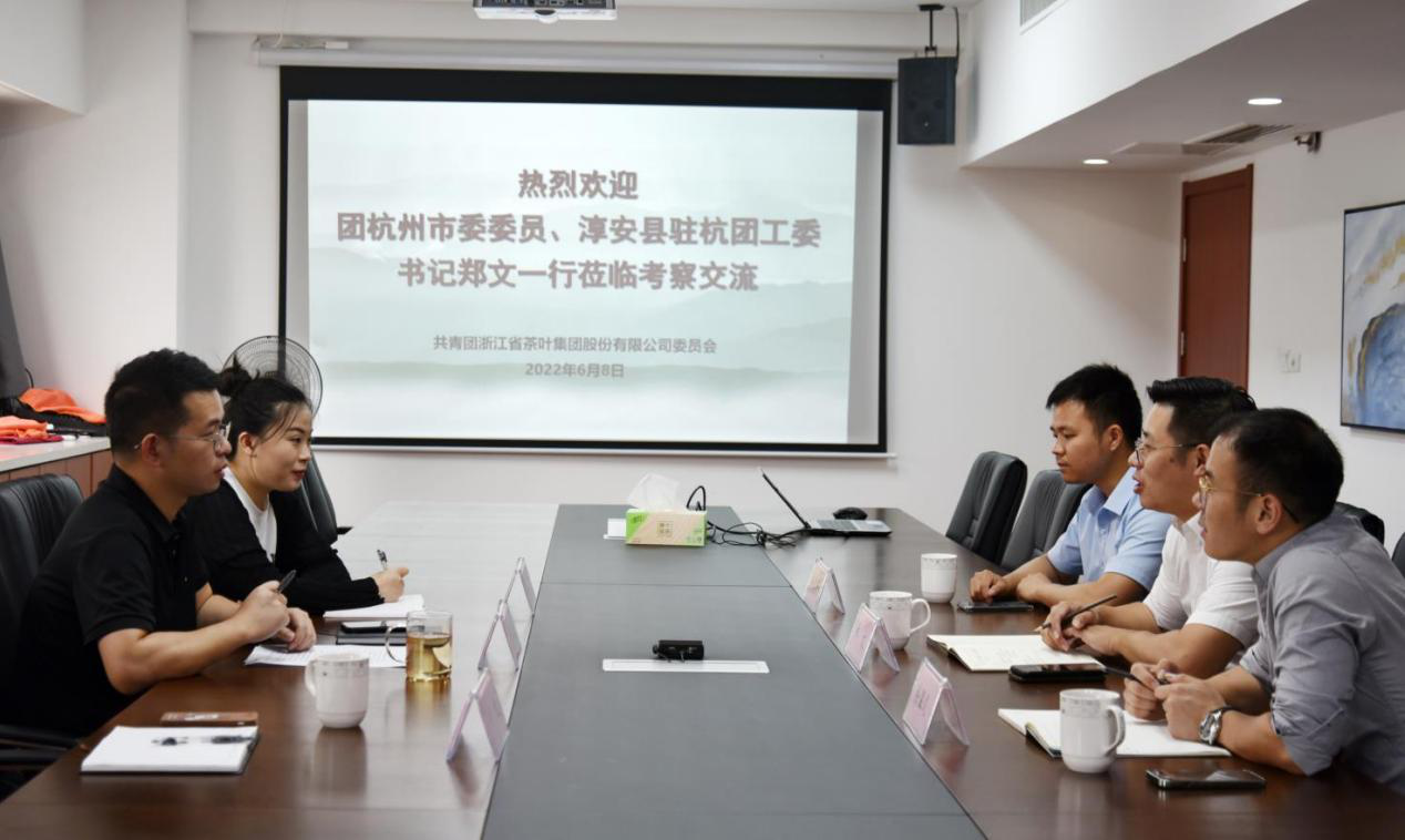 团杭州市委委员、淳安县驻杭团工委书记郑文一行莅临安博网页中国有限公司集团团委交流