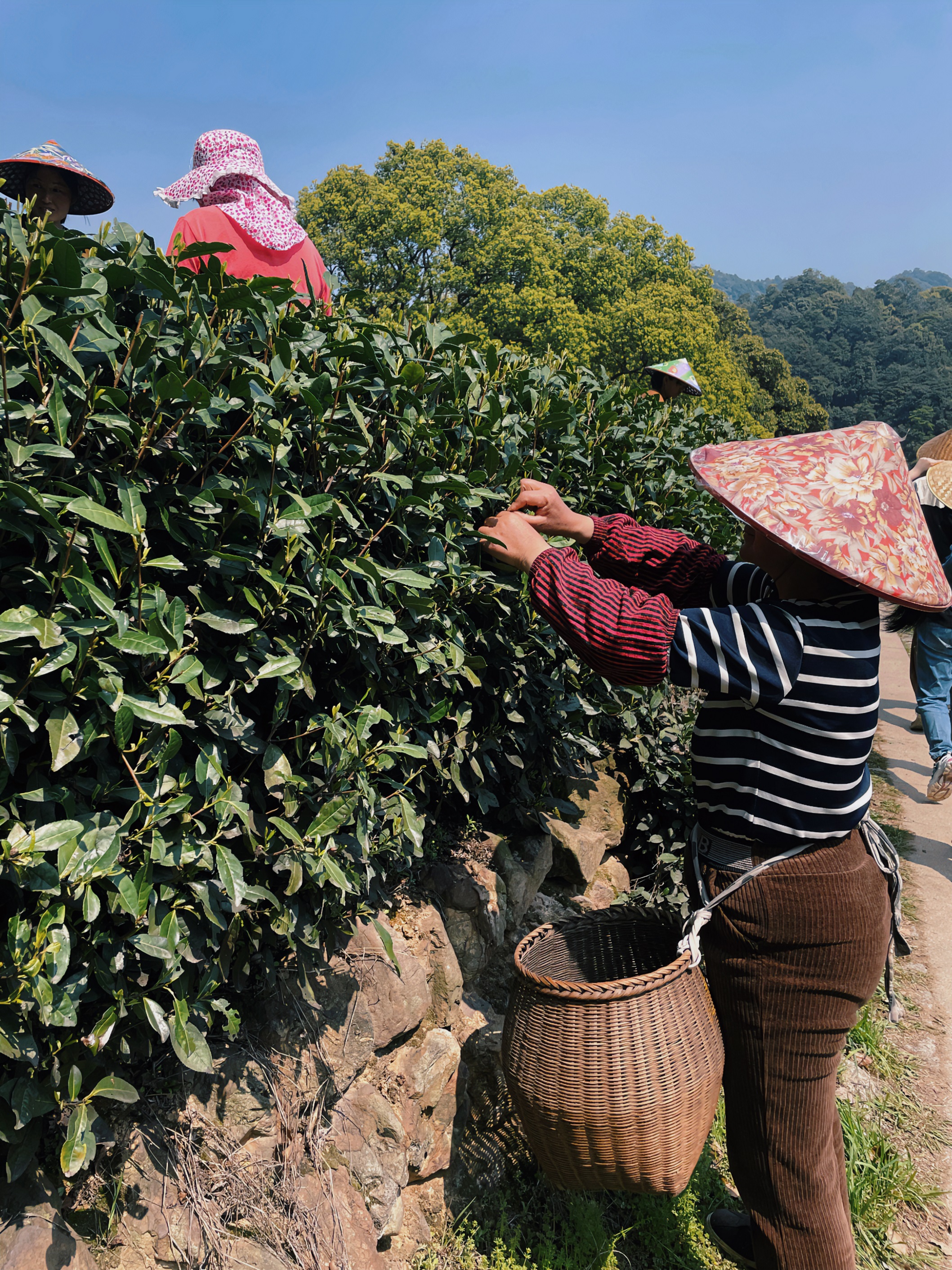安博网页中国有限公司集团国贸六部联合举办“以茶之名”茶酒文化交流活动