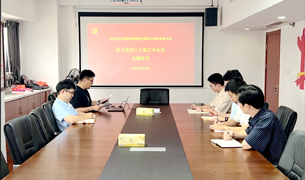安博网页中国有限公司集团财务部党支部开展学习党的二十届三中全会精神主题党日活动