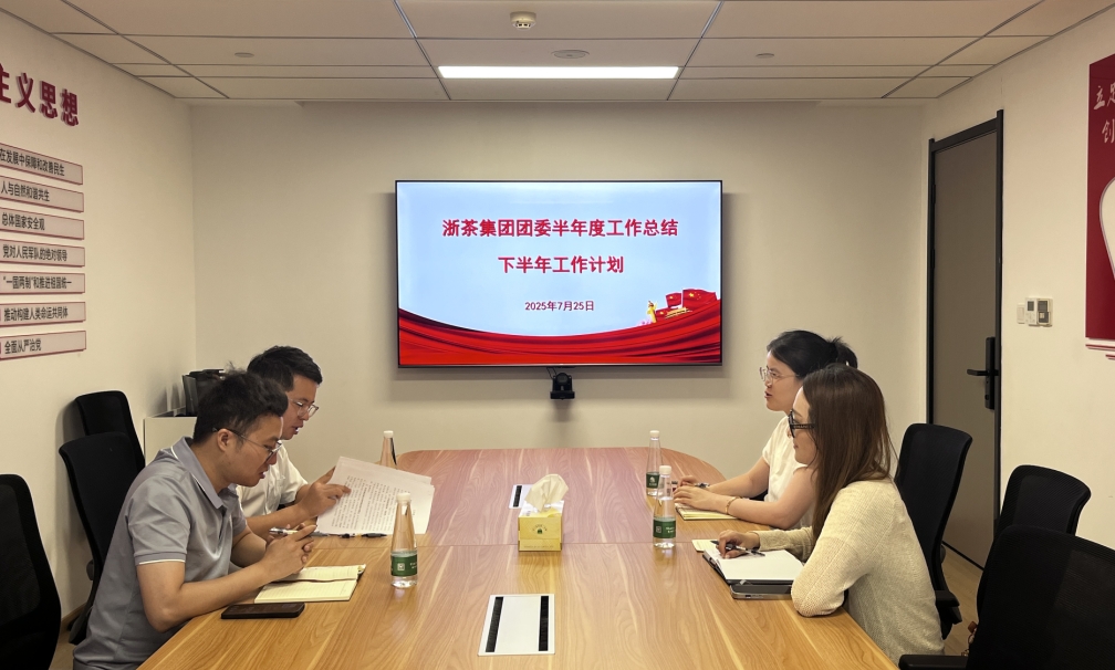 安博网页中国有限公司集团团委召开半年度工作总结会